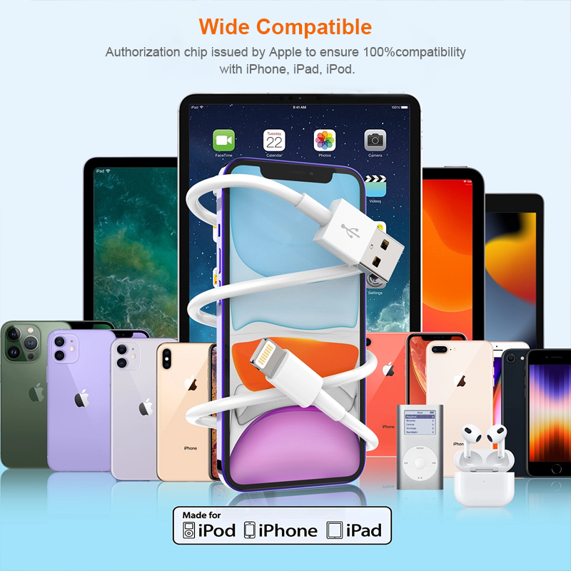 D1 USB-Lightning Cable